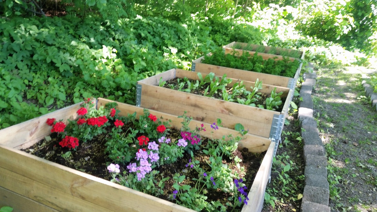 Photo of Outdoor in Aalborg