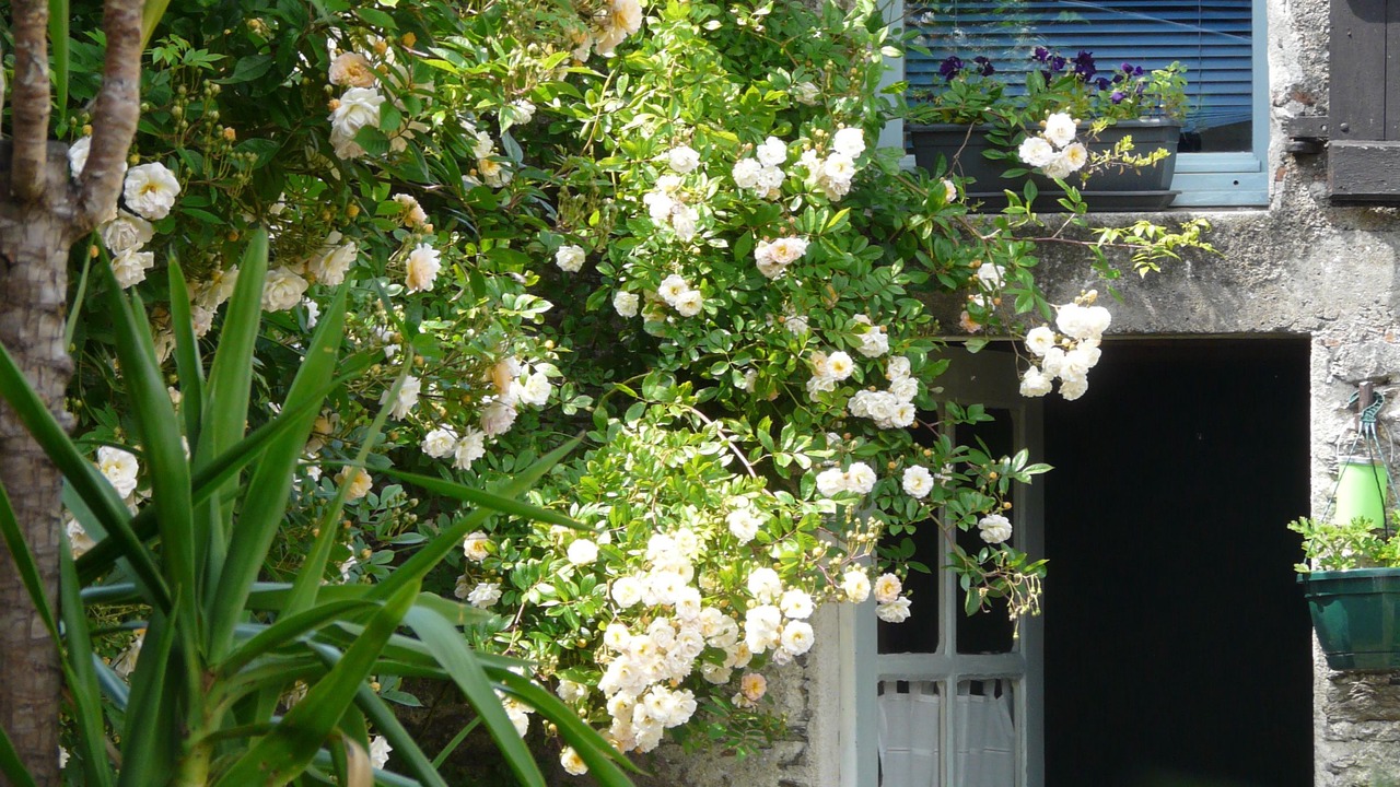 Photo of Outdoor in Monnieres