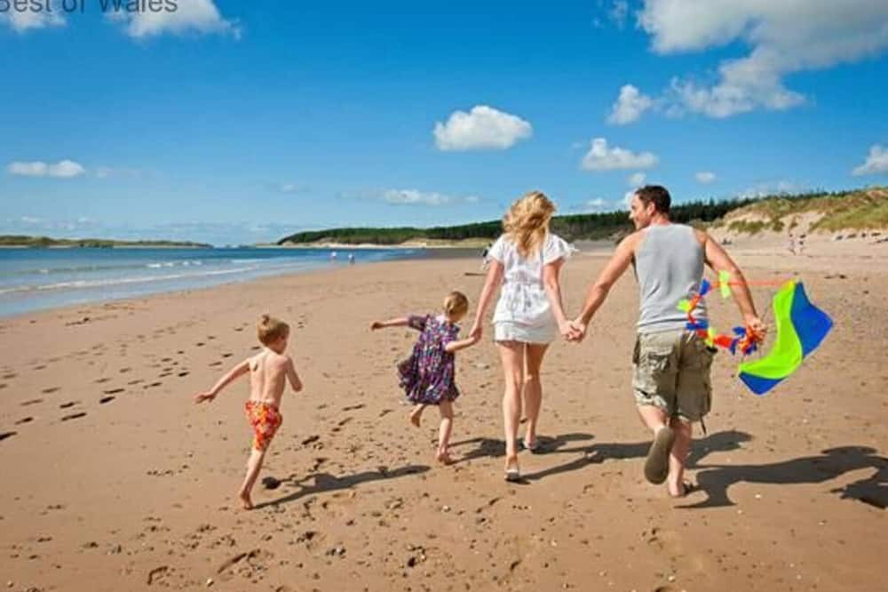 Photo of Others in Aberystwyth