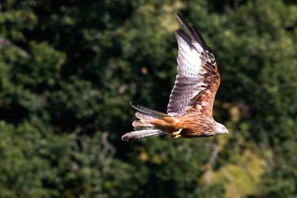 Photo of Outdoor in Aberystwyth
