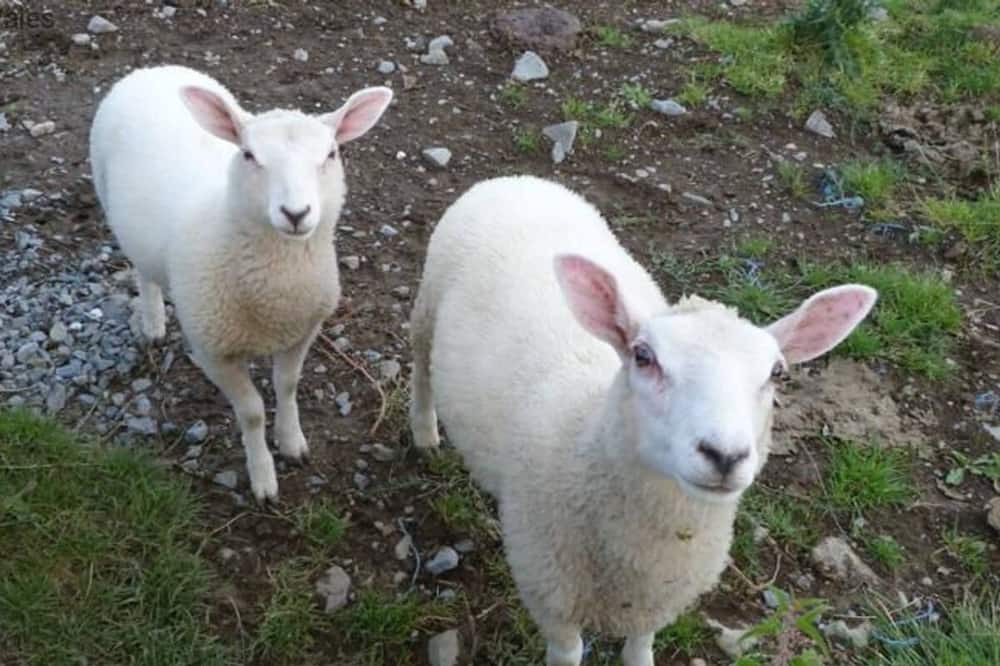 Photo of Outdoor in Aberystwyth