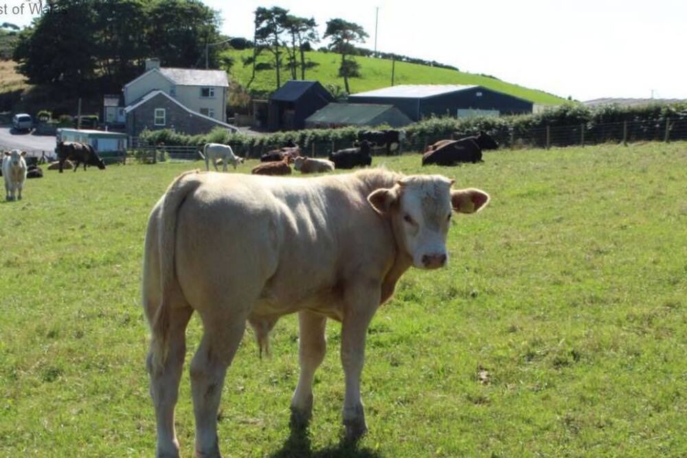 Photo of Outdoor in Aberystwyth