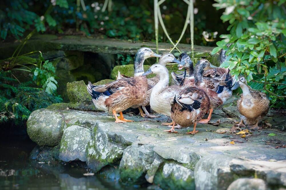 Photo of Outdoor in Rhyd-y-clafdy