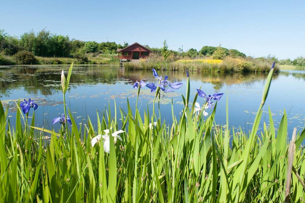 Photo of Outdoor in Llanerchymedd