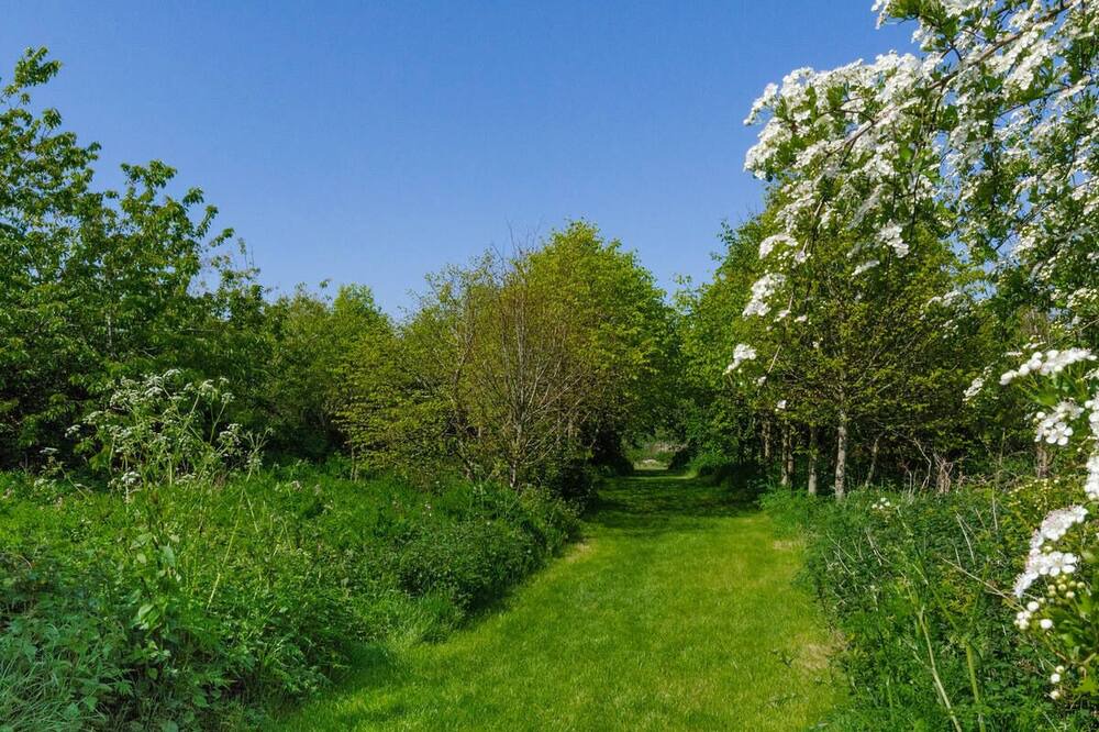 Photo of Outdoor in Llanerchymedd