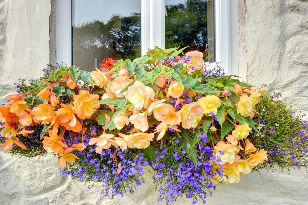 Photo of Others in Llanerchymedd