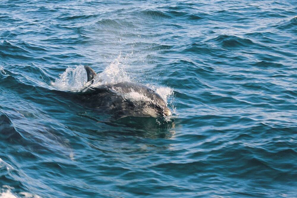 Photo of Others in Llansantffraed