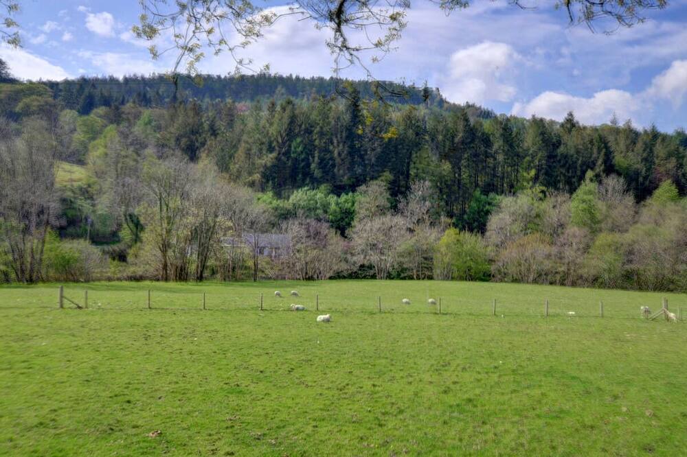 Photo of Others in Machynlleth