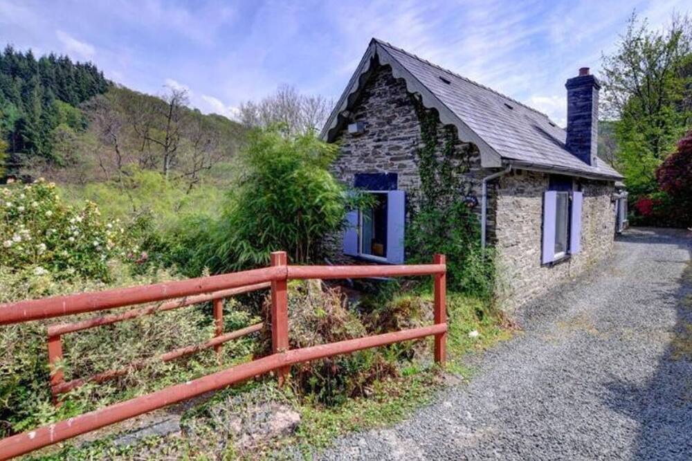 Photo of Others in Machynlleth