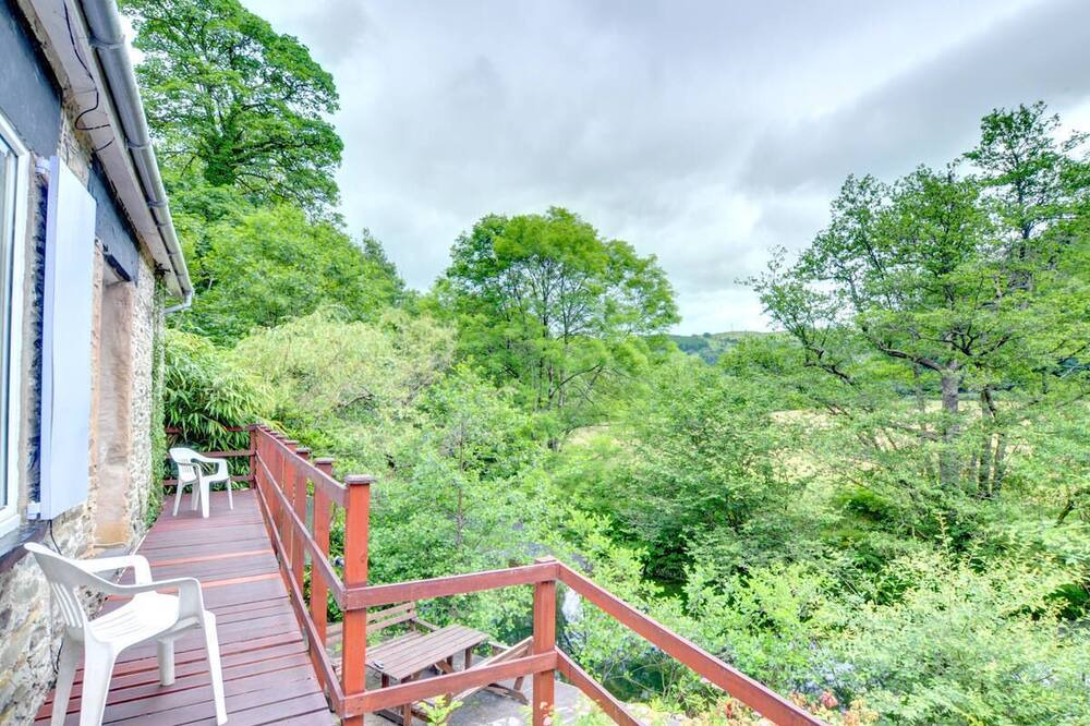 Photo of Others in Machynlleth