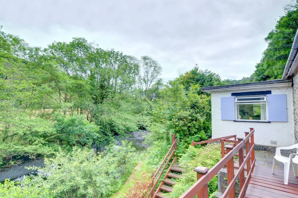 Photo of Others in Machynlleth