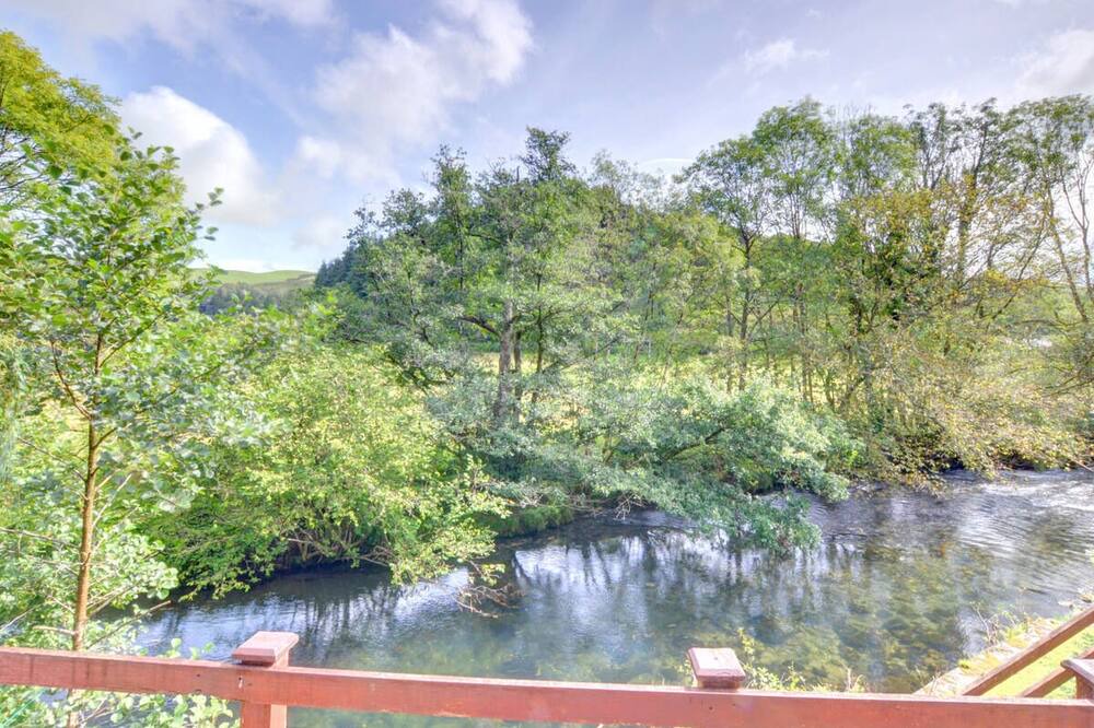 Photo of Others in Machynlleth