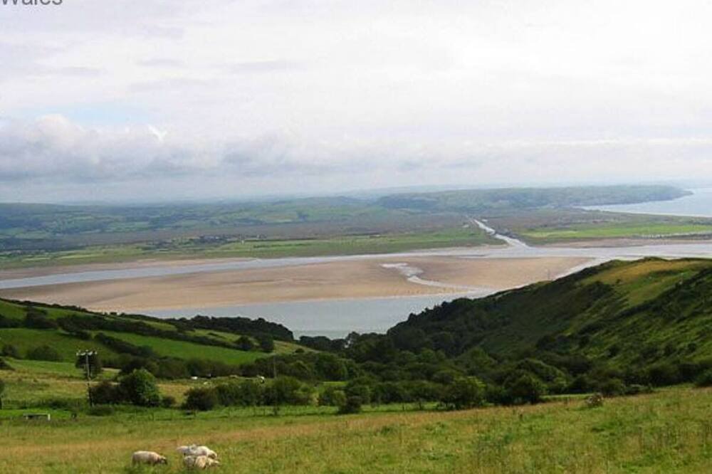 Photo of Others in Machynlleth