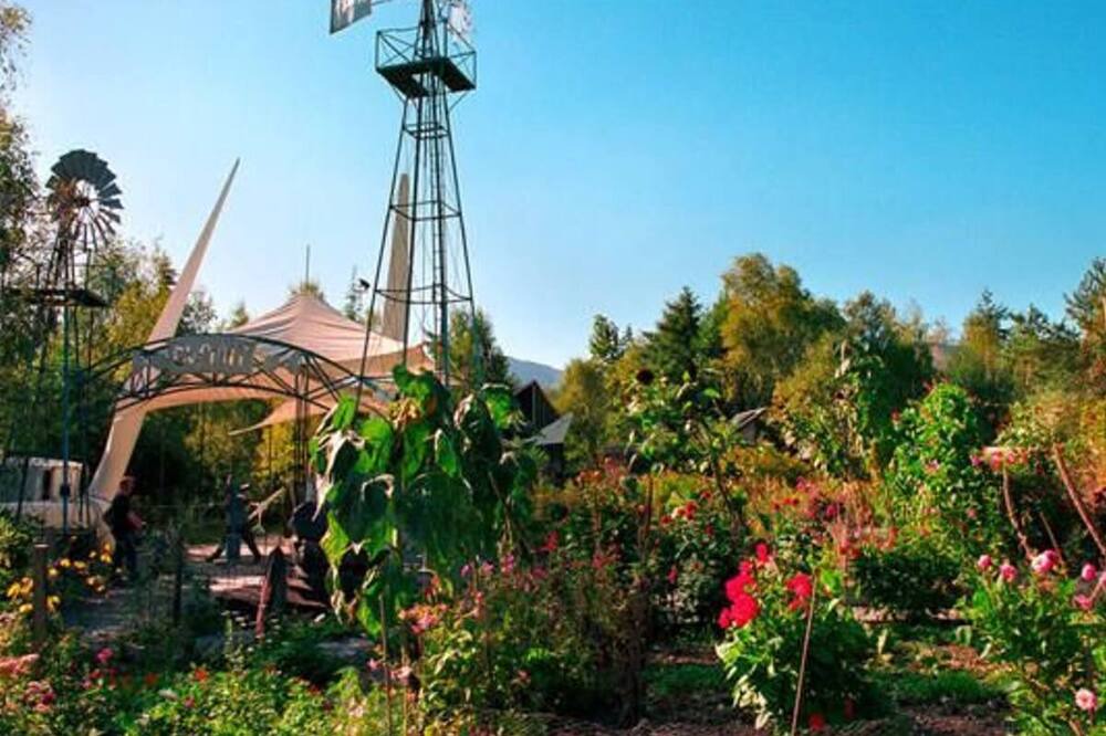 Photo of Others in Machynlleth