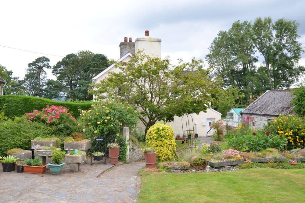 Photo of Outdoor in Llangeler