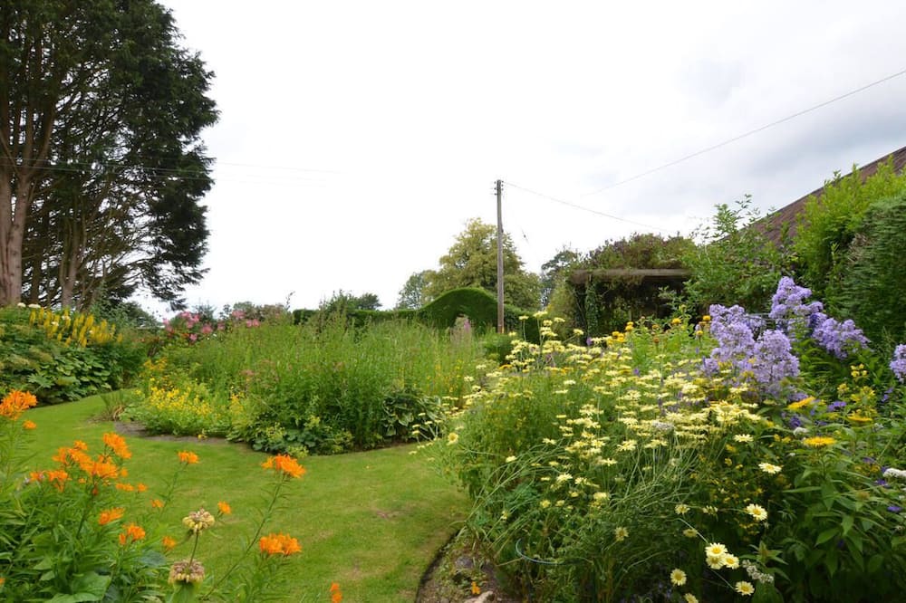 Photo of Outdoor in Llangeler