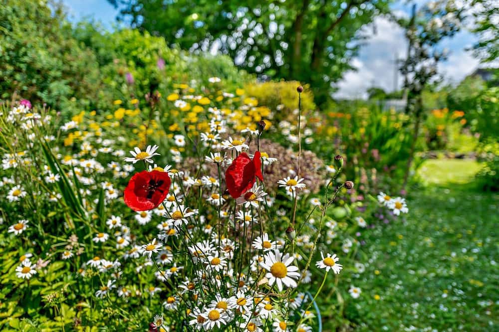 Photo of Outdoor in Llangeler