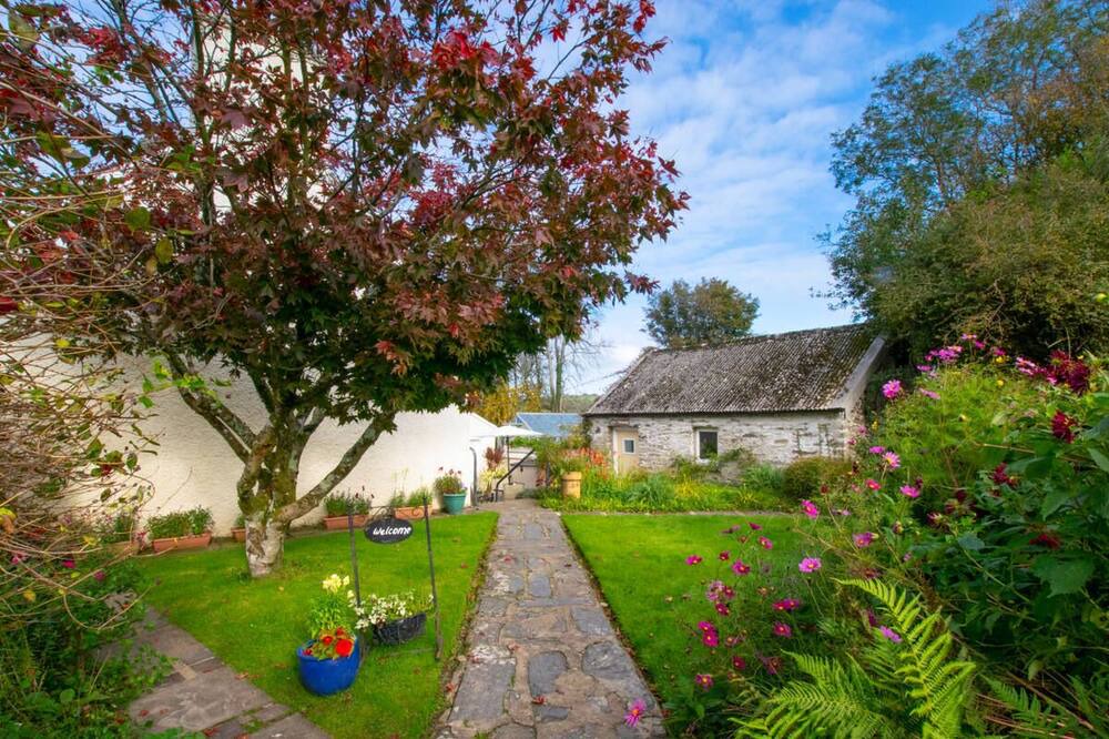 Photo of Outdoor in Llangeler