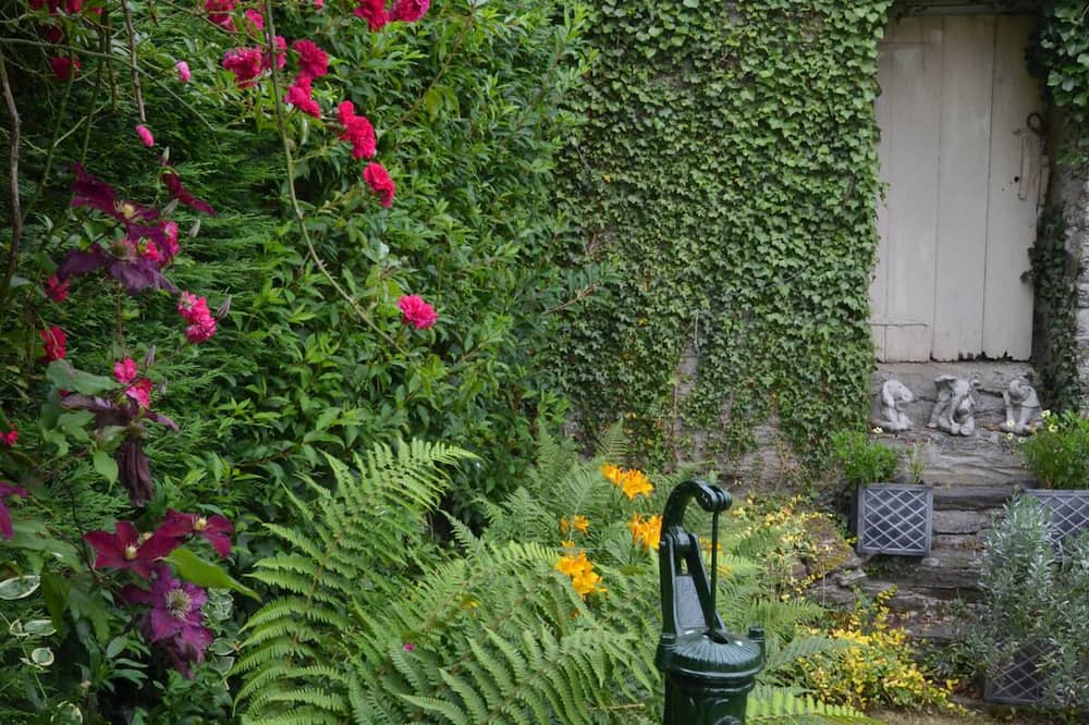 Photo of Outdoor in Llangeler