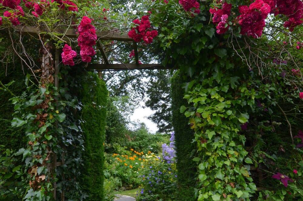 Photo of Outdoor in Llangeler