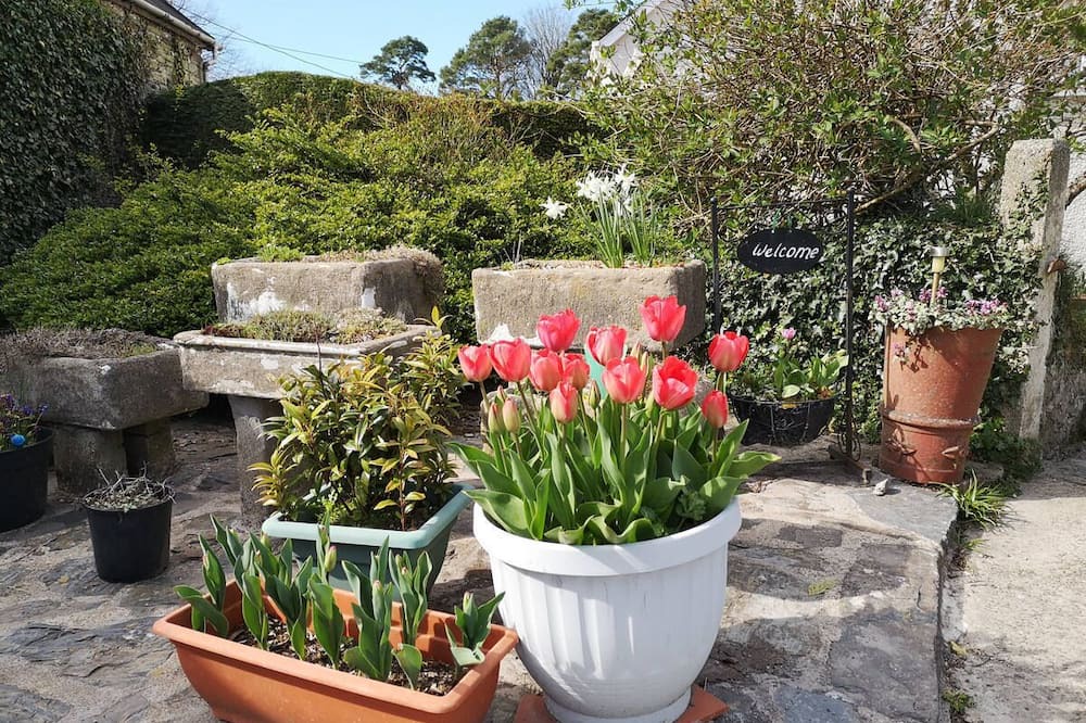 Photo of Outdoor in Llangeler