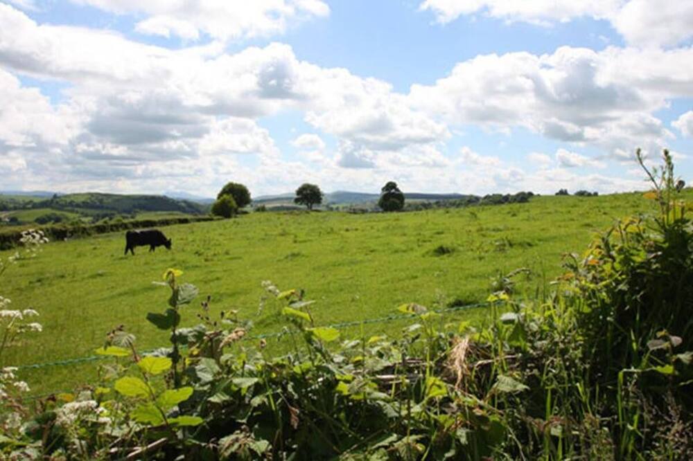 Photo of Others in Derwen