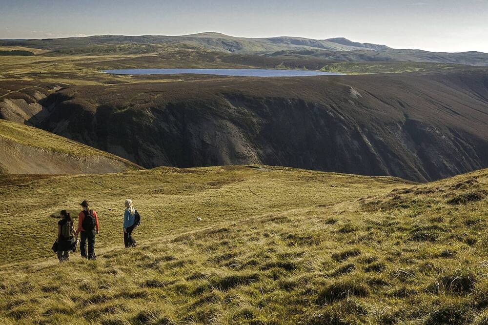 Photo of Others in Machynlleth