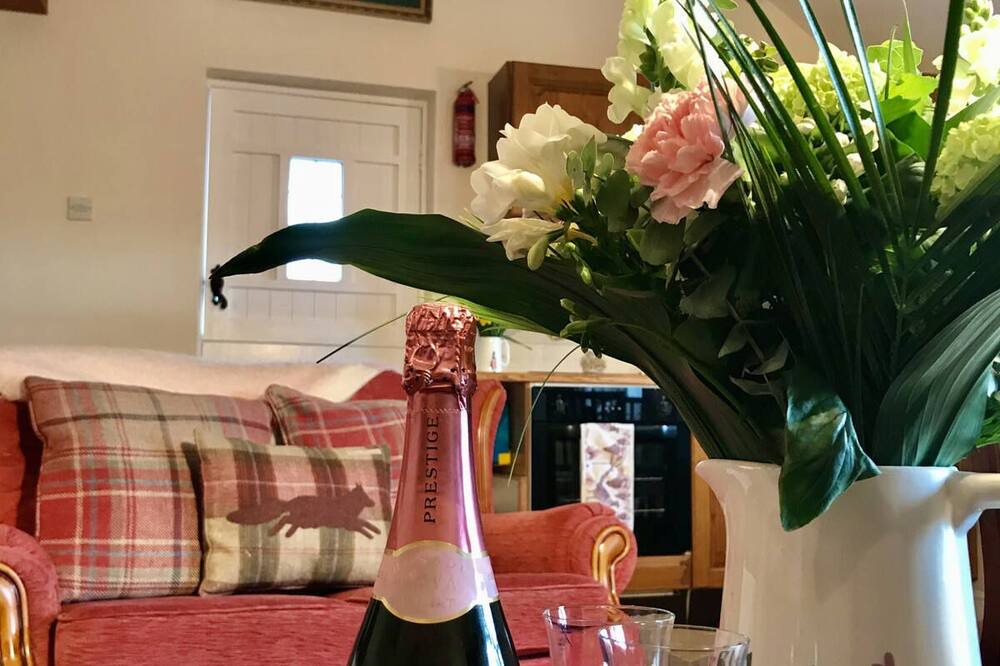 Photo of Others in Llanilar