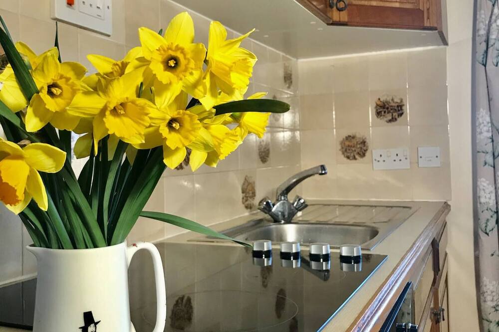 Photo of Kitchen in Llanilar