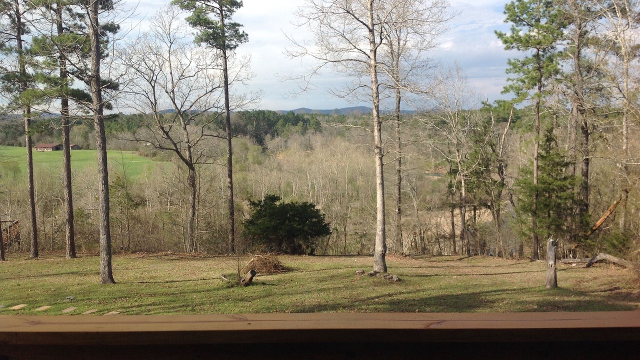 Photo of Outdoor in Amity