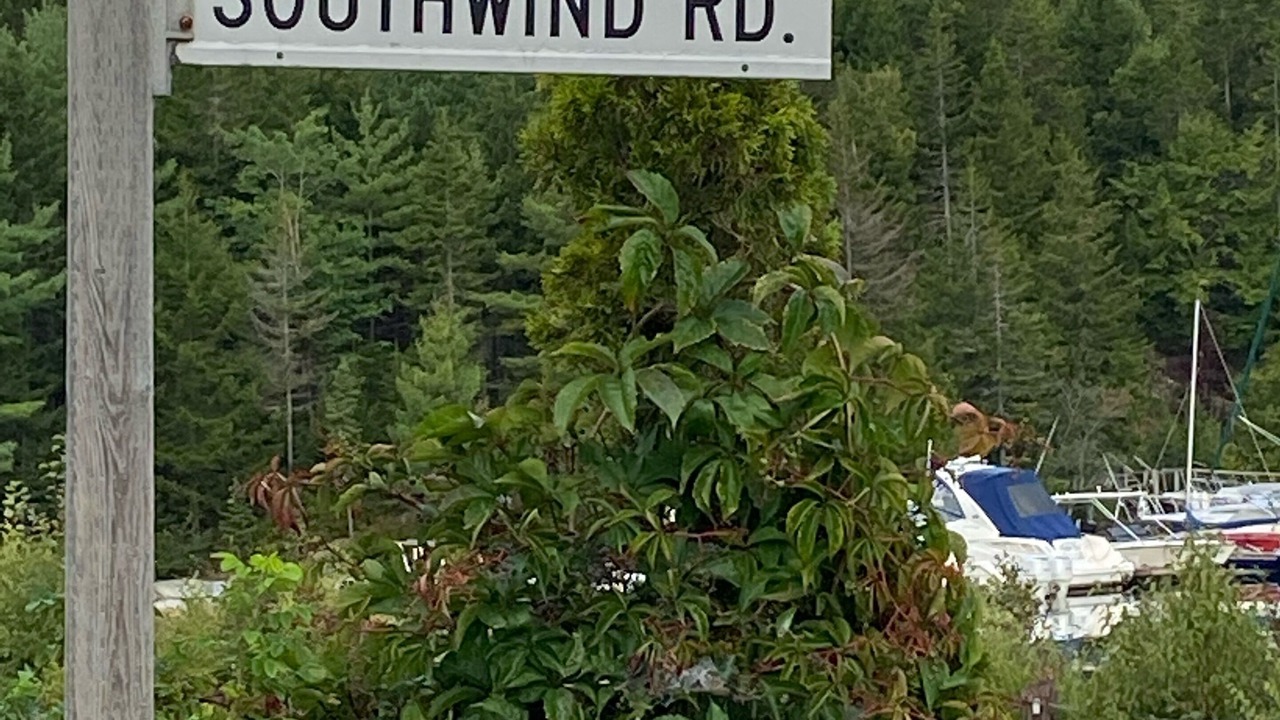 Photo of Outdoor in Upper Blandford