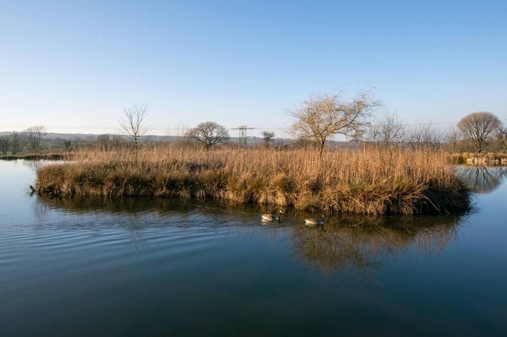 Photo of Others in Felinfach