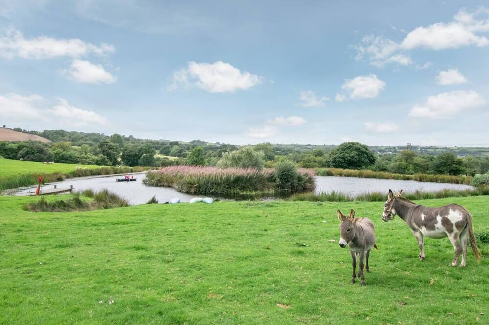 Photo of Others in Felinfach