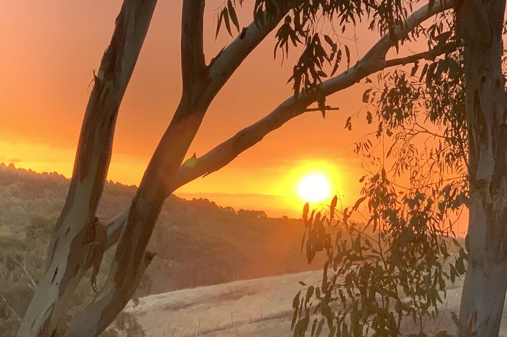 Photo of Outdoor in Willunga South