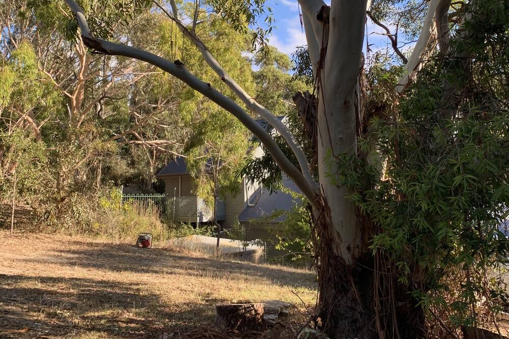 Photo of Outdoor in Willunga South