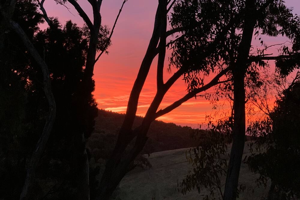 Photo of Others in Willunga South