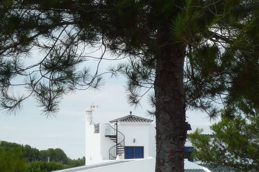 Photo of Outdoor in San Jorge