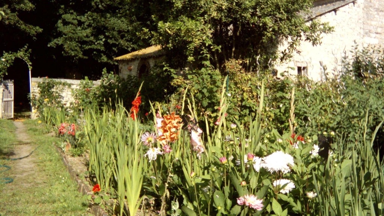 Photo of Outdoor in Saonnet