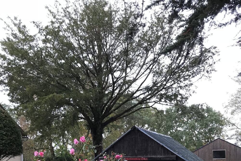Photo of Outdoor in Saint-Omer-de-Blain
