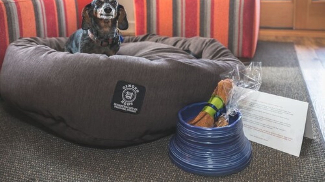 Photo of Others in Pacific City