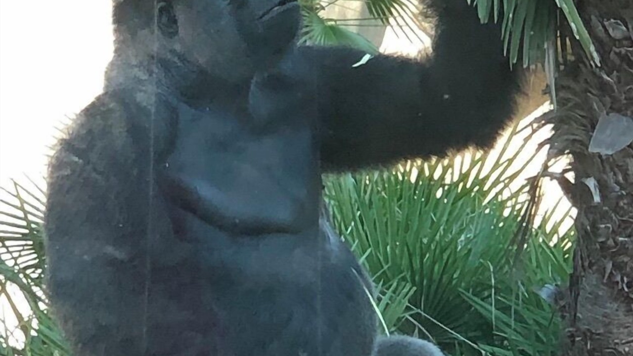 Photo of Others in Carpinteria