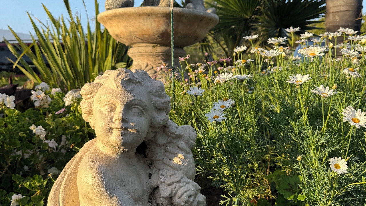 Photo of Others in Carpinteria