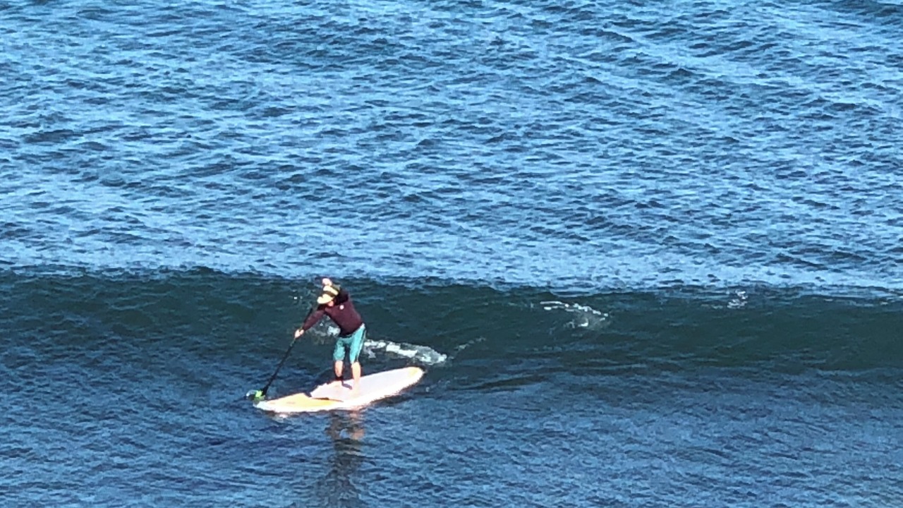 Photo of Others in Carpinteria