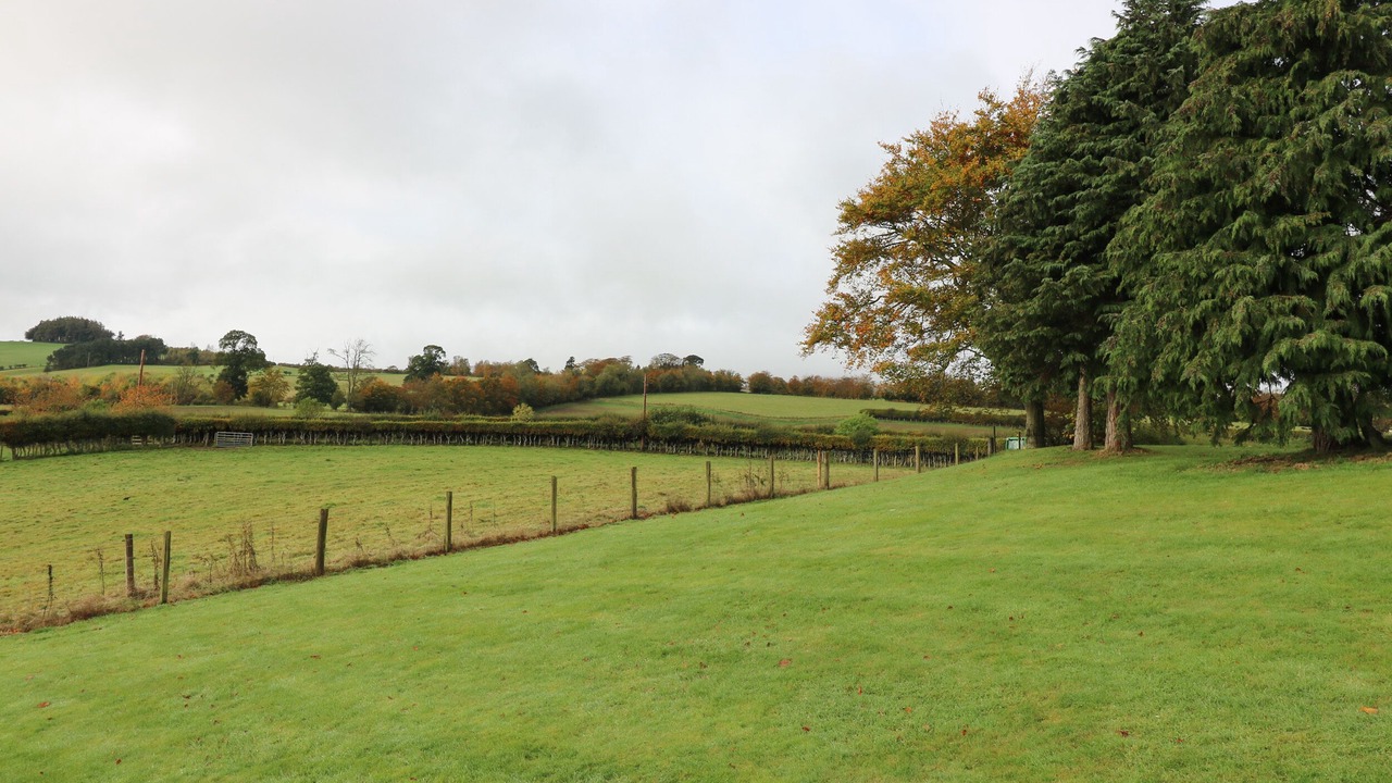 Photo of Others in Jedburgh