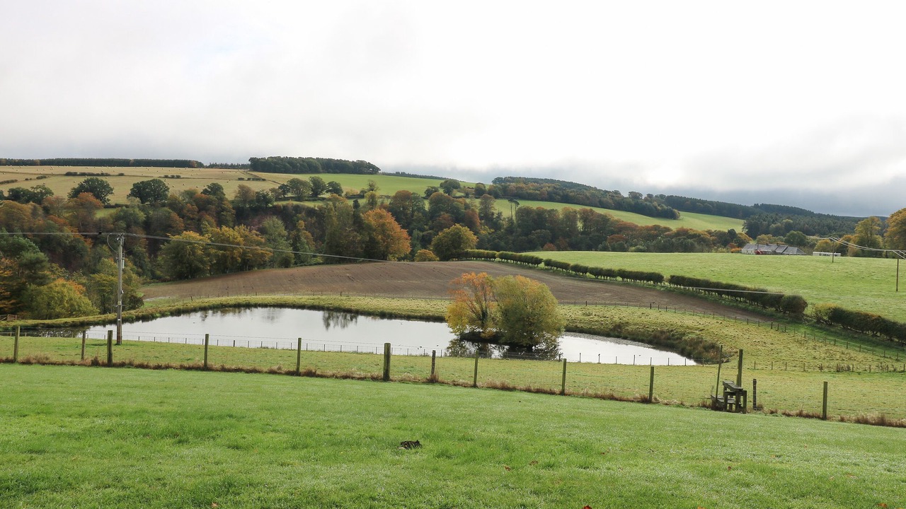 Photo of Others in Jedburgh