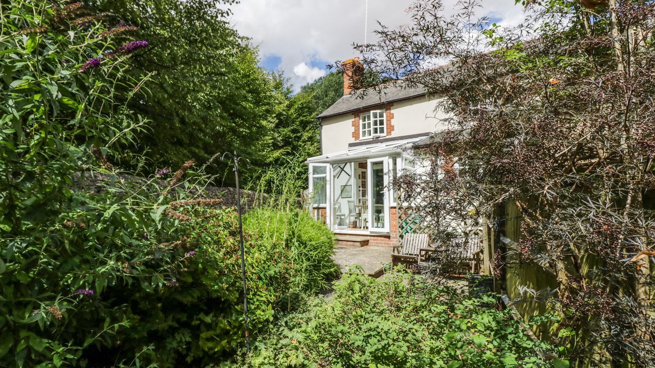 Photo of Others in Woodstock