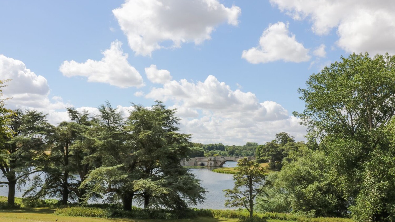 Photo of Others in Woodstock