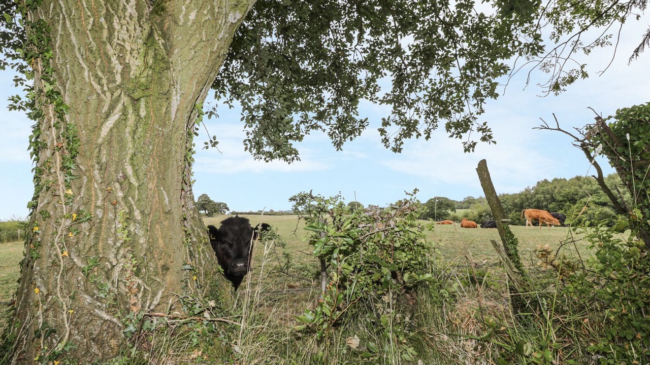 Photo of Others in Mealsgate