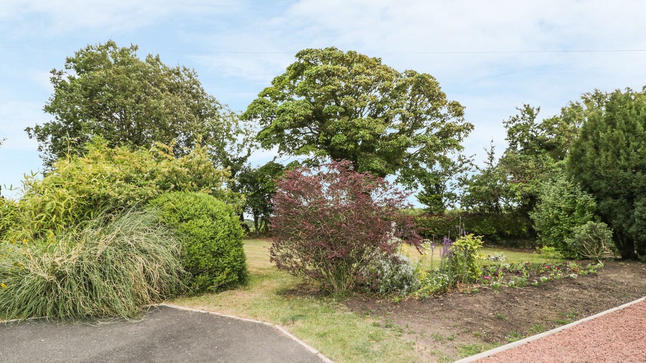 Photo of Others in Mealsgate