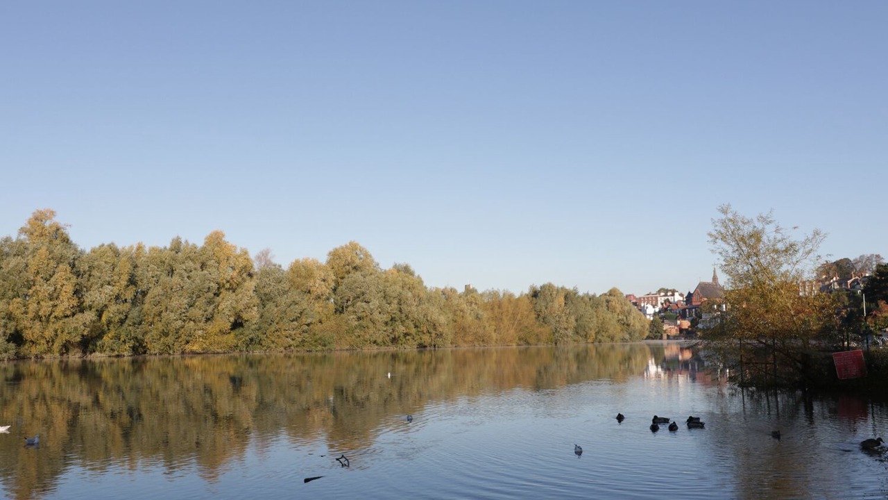 Photo of Others in Chester